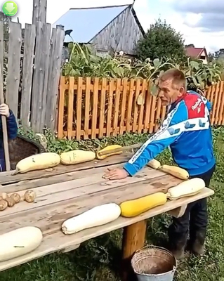 Это вы еще наш боулинг не видели!
