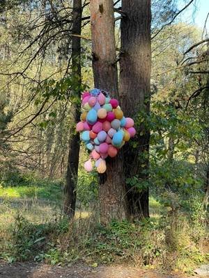 Кто это тут шарился?