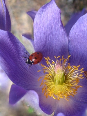 Пришла на первое занятие в фитнес клуб и чувствуешь себя как корова в цветнике