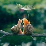 А на просвет думаю, а чем я думаю?