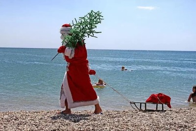 Готовь Новый год летом!