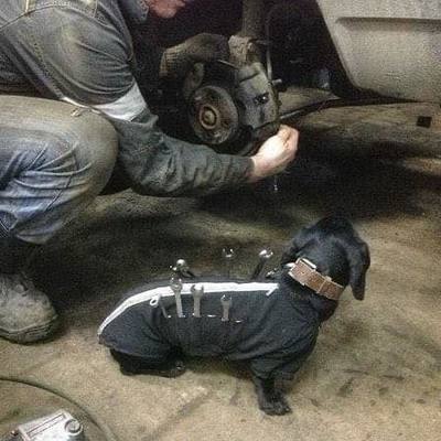  : "Петрович, только не проси принести домкрат!"