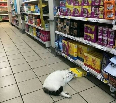 Хоть пол мойте мною, не встану. 