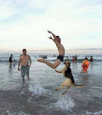 Это тебе за Му-Му!