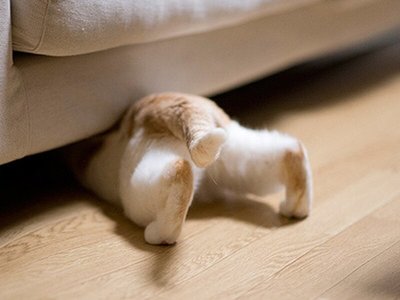 подложили под диван чтоб не шатался