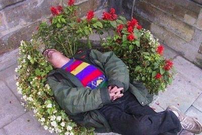 они цветут, а Петрович пахнет