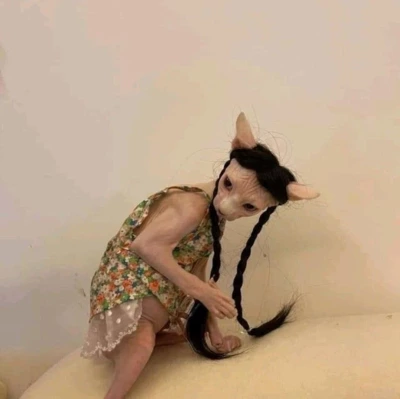 Питомец Аватара