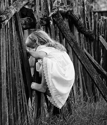 живая изгородь