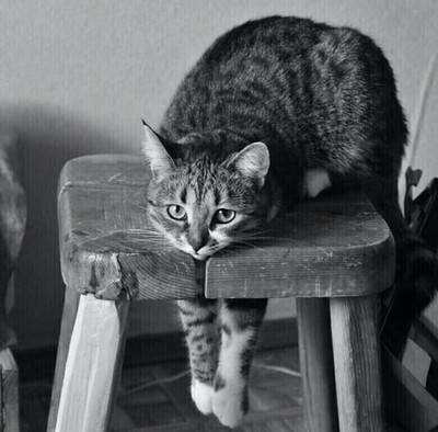 Гладь меня, гладь меня полностью, ты сможешь? 