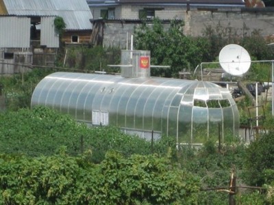 а тут у нас дыни торпеды