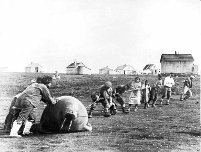 Петрович, вставай! На работу проспишь!