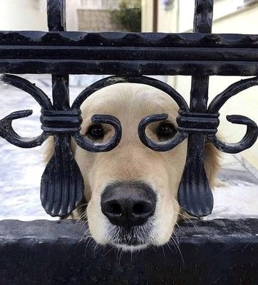 Круглосуточное видеонаблюдение осуществляется в режиме реального времени.