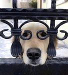 Круглосуточное видеонаблюдение осуществляется в режиме реального времени.