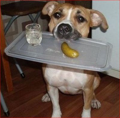 Корейские недели во «Вкусно и точка»