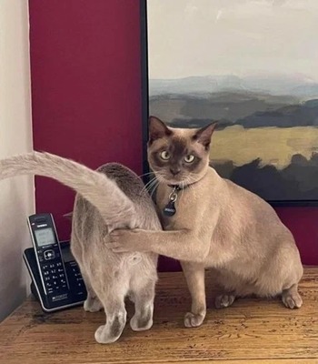 Не снимать!