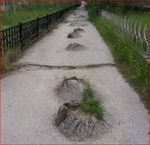 Дорога со взрывным характером.