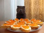 Думал, с какого начать до прихода хозяина.