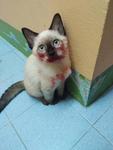 Какое варенье?!