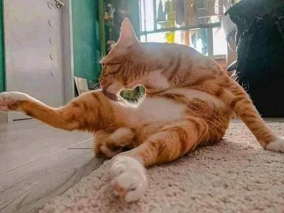И что вам вечно мерещится!?