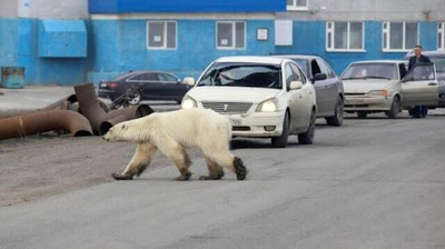 Когда случайно зашёл в Гарлем