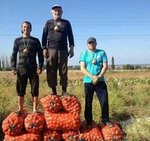  Маугли с друзьями на картошке во время учёбы в Гарварде.
