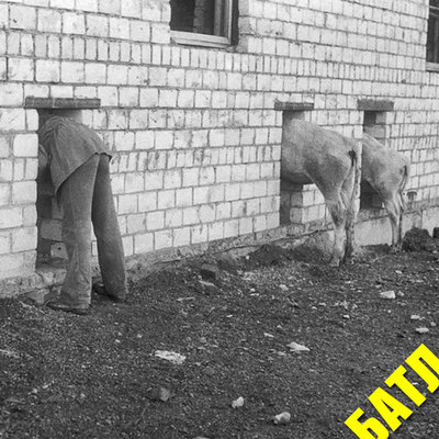 Это того стойло