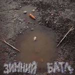 Зимы ждала, ждала пирода и живописцы из народа. 