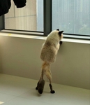 когда весной не знаешь в чем идти на улицу