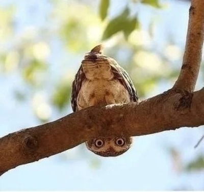 трубка 15, Прицел 120 БАХ-БАХ ! И .... мимо