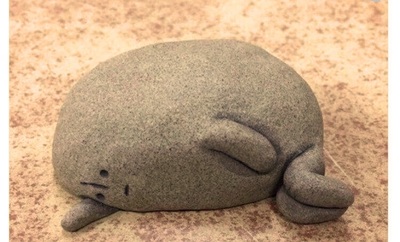 мои выходные