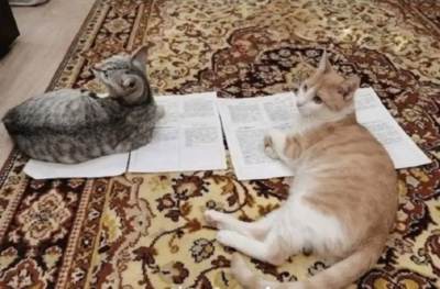 Хитрый способ, как самому занять всю кровать