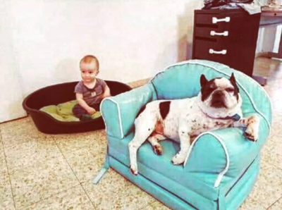 Сразу видно, кто у бабушки любимый внук 