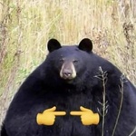 Как они ими охотятся?