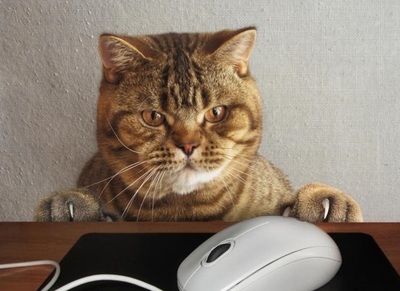 Всё у этих кожаных синтетическое, даже мыши!