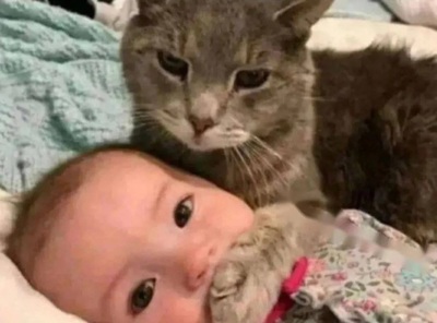 Молчи! Пусть мне сначала даст поесть!