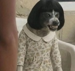 Тёща глазами Петровича