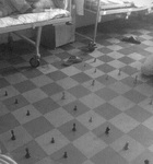 Для тех кто ходит едва-е2.