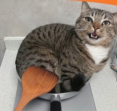 Кошерная еда.