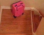 Хочу на ручки!