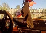 Если хочешь, чтобы никто не нашёл, положи на видное место.