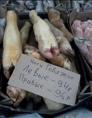 Лев всегда прав