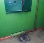 Здесь был электрик Вася