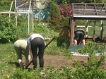 Женщины всё делают задом наперёд!