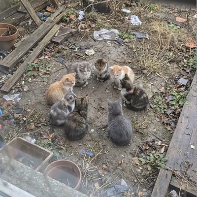 Ну что, мужики,  идём по девочкам? 