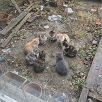 Давайте сначала распоёмся!
