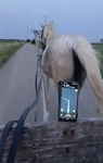 Яндекс доставка