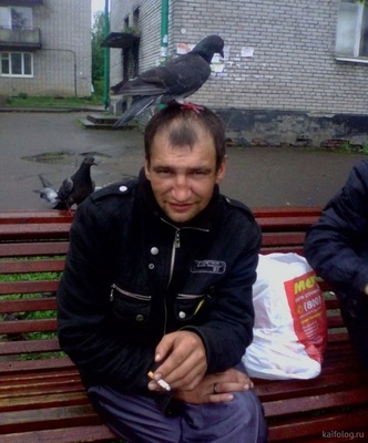 Смска прилетела.