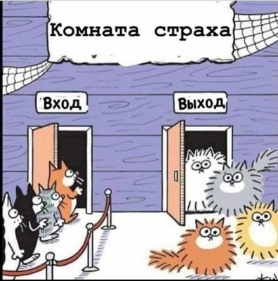В гостях у ветеринара
