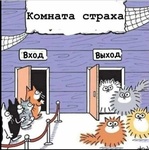 В гостях у ветеринара