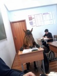 пришел на урок физики узнать как считается лошадиная сила